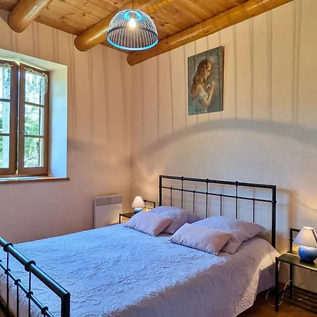 Grande Maison En Pierres Avec Jardin, Proche D'un Bourg Medieval, Animaux Acceptes - Fr-1-582-161 * Allègre