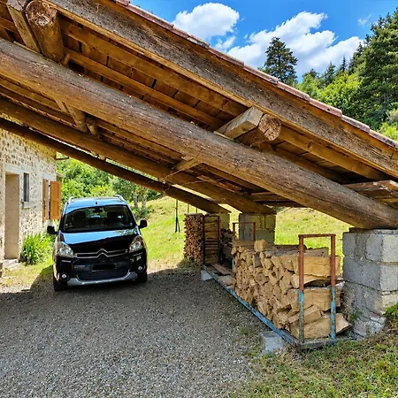 Grande Maison En Pierres Avec Jardin, Proche D'un Bourg Medieval, Animaux Acceptes - Fr-1-582-161 Allègre