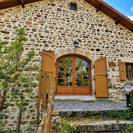 Grande Maison En Pierres Avec Jardin, Proche D'un Bourg Medieval, Animaux Acceptes - Fr-1-582-161 * Allègre