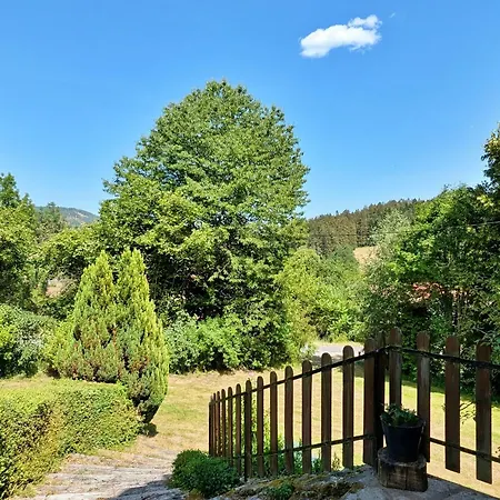 Grande Maison En Pierres Avec Jardin, Proche D'un Bourg Medieval, Animaux Acceptes - Fr-1-582-161